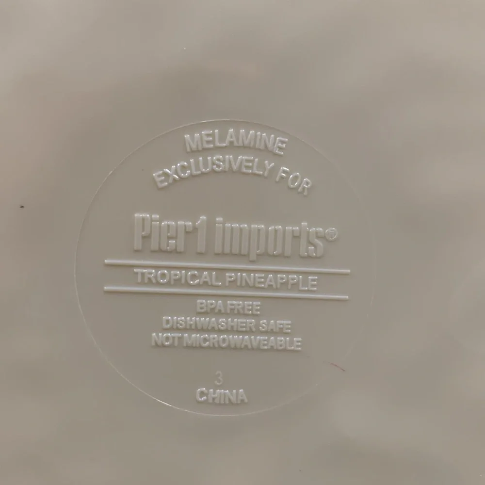 Pier 1 Imports “Tropical Pineapple” Vintage Melamine 9” Plates set of 2